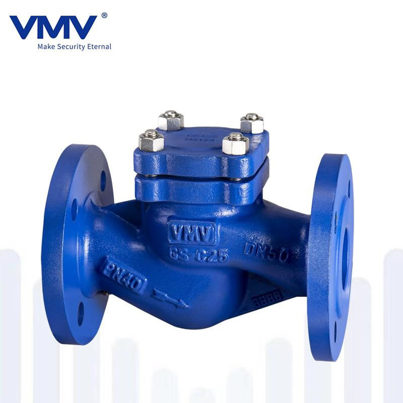 Din Standard Check Valve